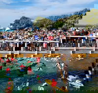 The Crescent Head Santa Surf - Northern Rivers Accommodation