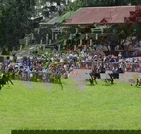 Tumut Boxing Day Races - Northern Rivers Accommodation