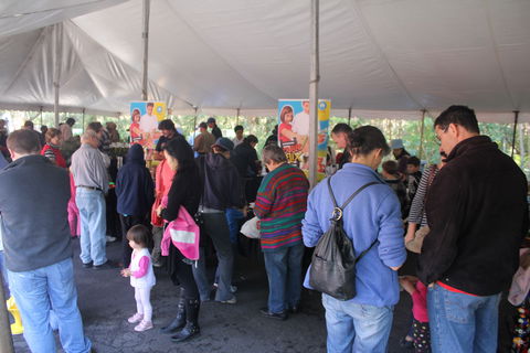 Wildflower Art And Garden Festival - Northern Rivers Accommodation 0