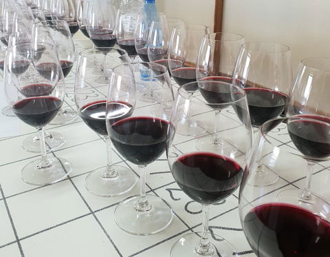 Australian Cool Climate Wine Show - Northern Rivers Accommodation 1