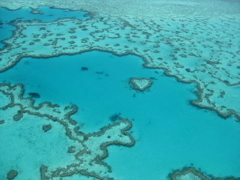 Australian Superyacht Rendezvous 2020 - Great Barrier Reef Edition - Northern Rivers Accommodation 2