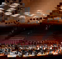 Australian International Music Festival - Northern Rivers Accommodation
