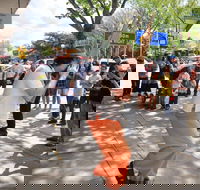 Australian National Busking Championships - Northern Rivers Accommodation