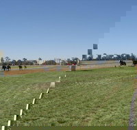 Balranald Races -Derby Day - Northern Rivers Accommodation