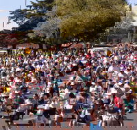 Bathurst Edgell Jog - Northern Rivers Accommodation