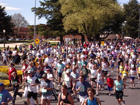 Bathurst Edgell Jog - Northern Rivers Accommodation 0