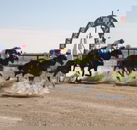 Bedourie Races and Rodeo - Northern Rivers Accommodation