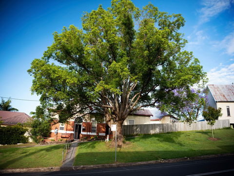 Big Bat Wildlife And Eco Festival - Northern Rivers Accommodation 0