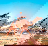 Boulia Camel Races - Northern Rivers Accommodation