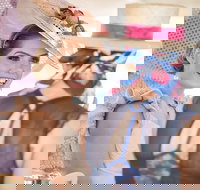 Cairns Amateurs - Northern Rivers Accommodation