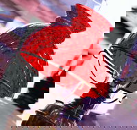 Collectable Sundays - Bus Depot Markets - Northern Rivers Accommodation