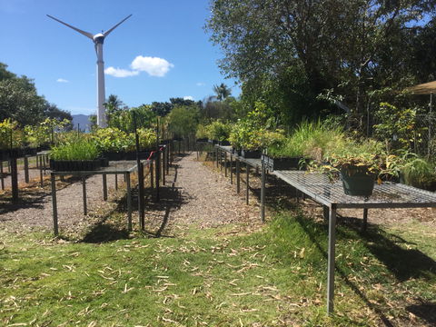 Conservation Volunteers Australia Townsville - Ocean View Nursery - Northern Rivers Accommodation 0