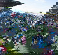 Craft Beer Sunshine Coast Festival - Northern Rivers Accommodation