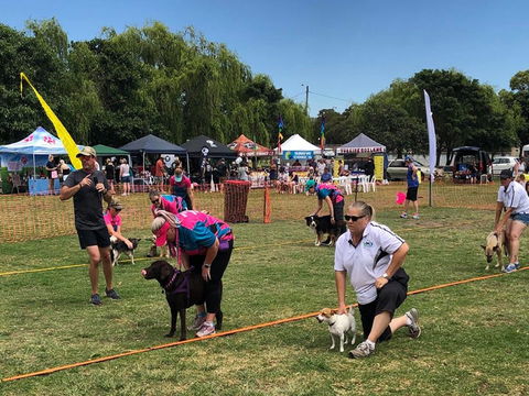Dogs In The Park NSW St Ives - Northern Rivers Accommodation 0