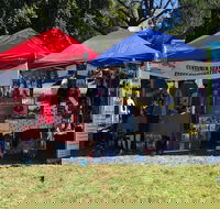 Dogs in the Park Shell Harbour - Northern Rivers Accommodation