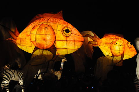 DREAM Festival: Music And Markets Event - Northern Rivers Accommodation 2