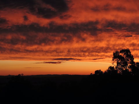 Father's Day At Cottontail Wines - Northern Rivers Accommodation 0