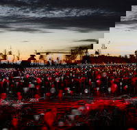 Field of Light Uluru - Northern Rivers Accommodation