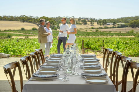 Four Seasons In The Armagh Vineyard - Northern Rivers Accommodation 5