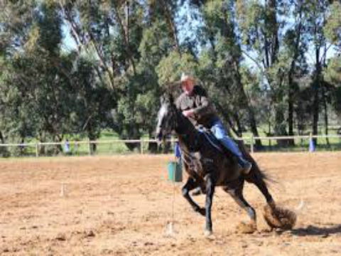 Glen William Gymkhana - Northern Rivers Accommodation 1