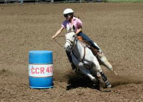 Glen William Gymkhana - Northern Rivers Accommodation 2