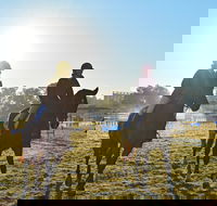 Gunnedah Showjumping Festival - Northern Rivers Accommodation