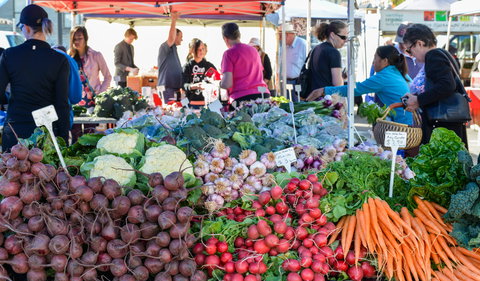 Harvest Launceston Community Farmers' Market - Northern Rivers Accommodation 2