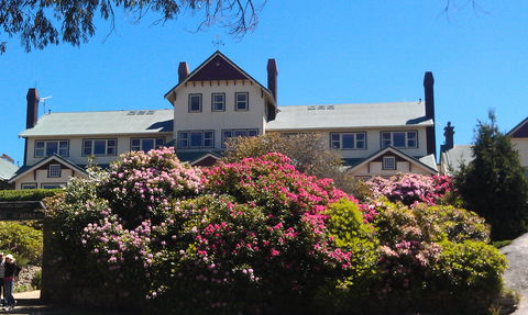 Hedonistic Hiking's Mount Buffalo Hike And Picnic - Northern Rivers Accommodation 1