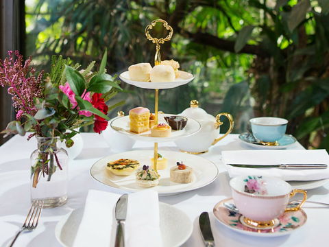 High Tea At Melbourne Zoo - Northern Rivers Accommodation 0