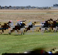 Jerilderie Gold Cup Races - Northern Rivers Accommodation