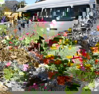 Johns River Country Markets - Northern Rivers Accommodation
