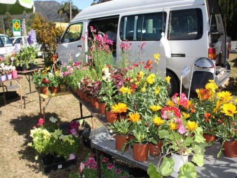 Johns River Country Markets - Northern Rivers Accommodation 0