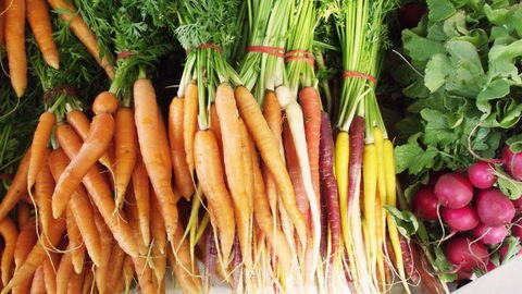 Joondalup Growers Market - Northern Rivers Accommodation 0