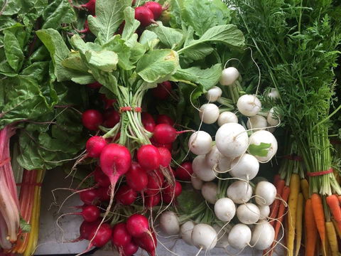 Joondalup Growers Market - Northern Rivers Accommodation 1