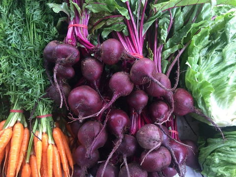 Joondalup Growers Market - Northern Rivers Accommodation 2