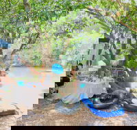 Jungle Love Festival - Northern Rivers Accommodation