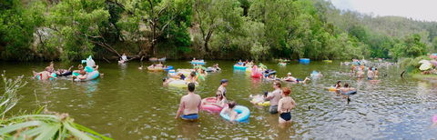 Jungle Love Festival - Northern Rivers Accommodation 1