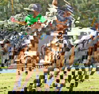 Land Rover Polo in the City - Northern Rivers Accommodation