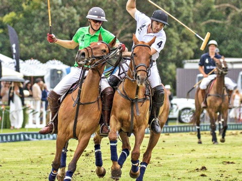 Land Rover Polo In The City - Northern Rivers Accommodation 0