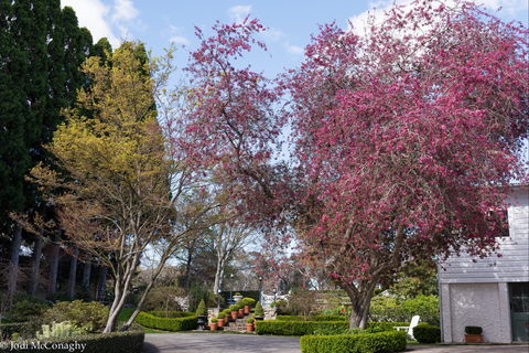 Leura Gardens Festival - Cancelled - Northern Rivers Accommodation 0