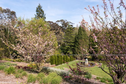 Leura Gardens Festival - Cancelled - Northern Rivers Accommodation 2
