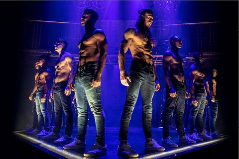 MAGIC MIKE LIVE - Northern Rivers Accommodation 0