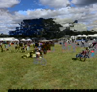 Majors Creek Festival - Northern Rivers Accommodation