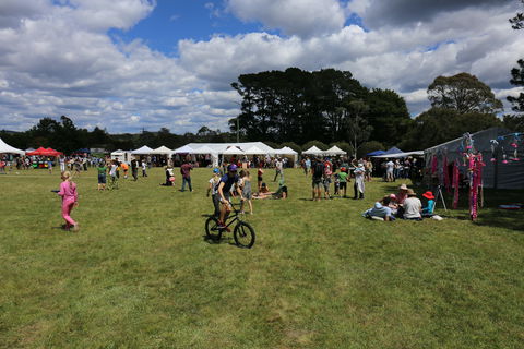 Majors Creek Festival - Northern Rivers Accommodation 0