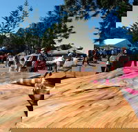 Maleny Wood Expo From Seed to Fine Furniture - Northern Rivers Accommodation