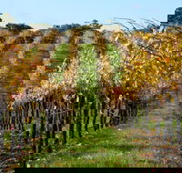 Miners Ridge Wine Tasting - Northern Rivers Accommodation