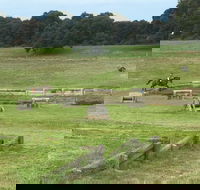 Mount Gambier and District Pony Club Horse Trials 2020 - Northern Rivers Accommodation