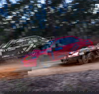 Narooma Forest Rally - Northern Rivers Accommodation