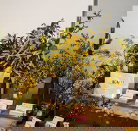 Pomonal Native Flower Show - Northern Rivers Accommodation