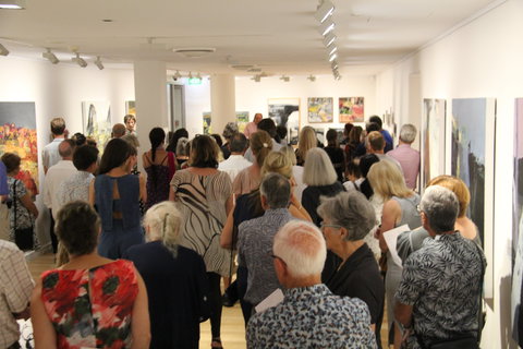 'Redland Art Awards 2020' Exhibition Opening - Northern Rivers Accommodation 0